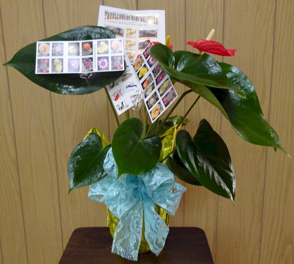 Flowers from Belvidere Postal Friends - Nancy Totton, Shelly McDonald, Arla Patterson, Dena Buchholz, Jo Manke-Rodgers, Cheyenne Herber, and Jonnell Kelley
