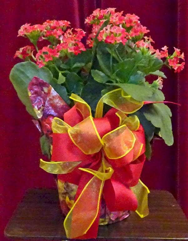 Flowers from Family