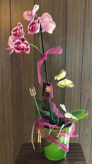 Flowers from Your Ameriprise Family - Thietje, Donna, and Jody