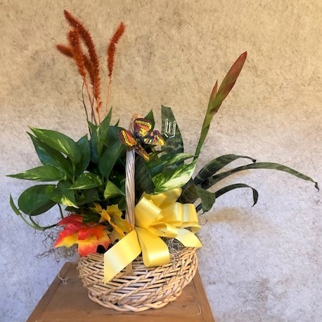 Flowers from Dr. Bob Saunders and Staff - Bloom Family Dentistry