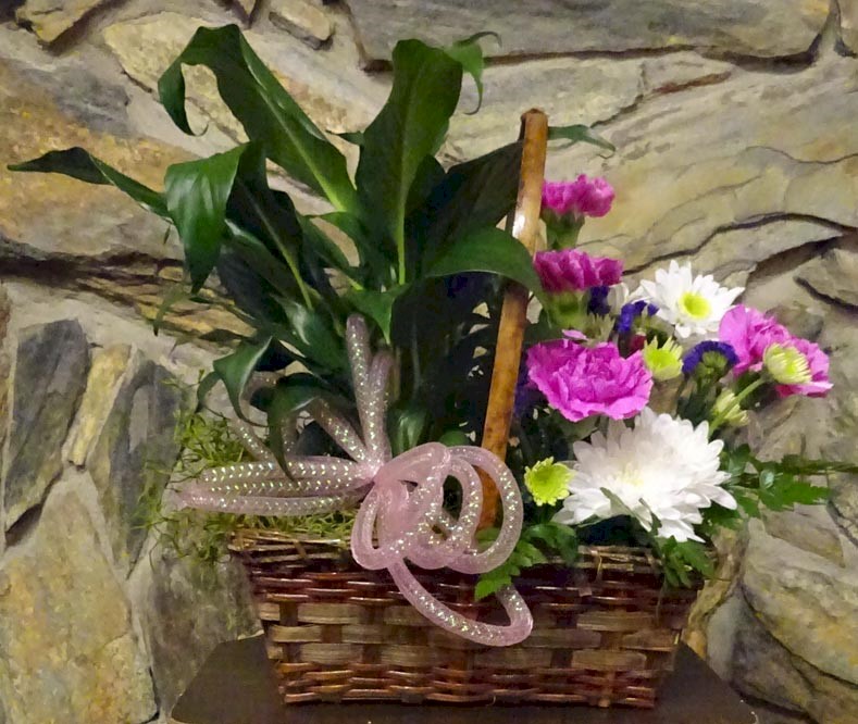 Flowers from Mouse and Shirley Schmidt