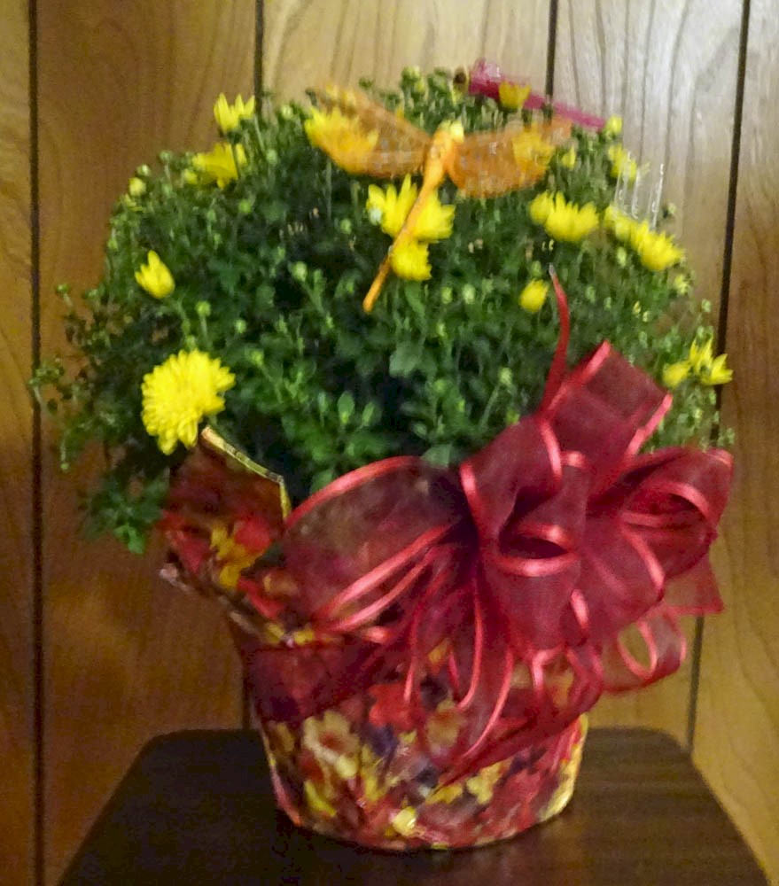Flowers from Tom, Sallie, Cailee, Olivia, and Annie