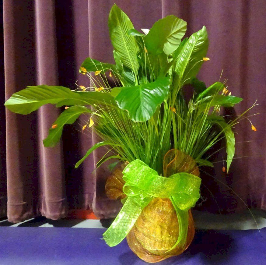 Flowers from CHS Watertown Regional Office - Ed Mallett and Kristy Popham