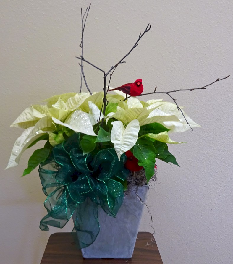 Flowers from The Division of Developmental Disabilities
