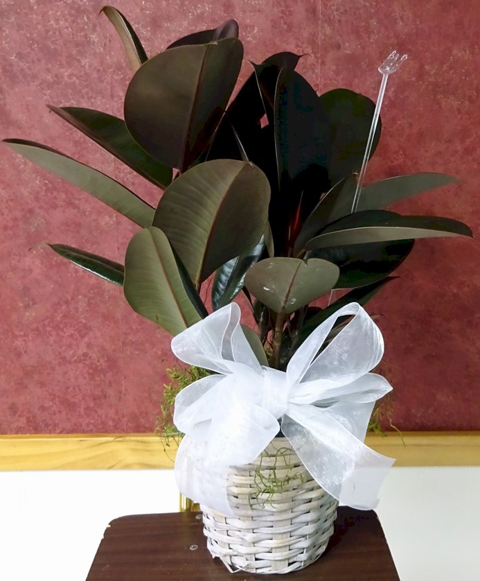 Flowers from Kadoka Nursing Home Staff, Residents, and Board of Directors