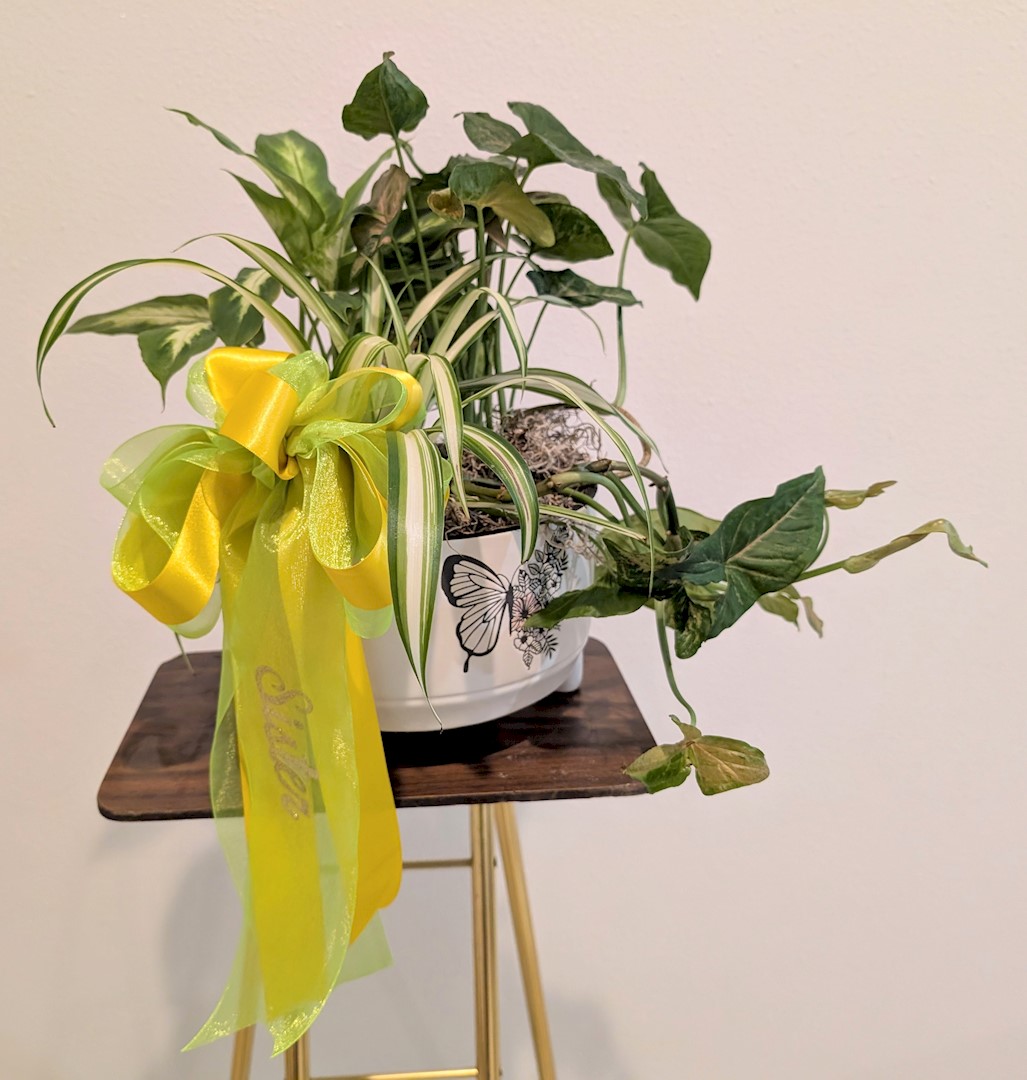 Flowers from Family - "Sister" - Dave, Tami, T.R., J.R. Hannah, Riley, and Patty