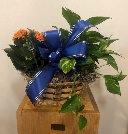 Flowers from Lynn Rieger, Nathan and Shelby Rieger, Grandpa Hanlon, and Dawn and Steve Ingalls