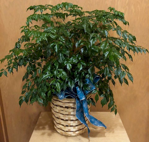 Flowers from County Wide Diesel Crew
