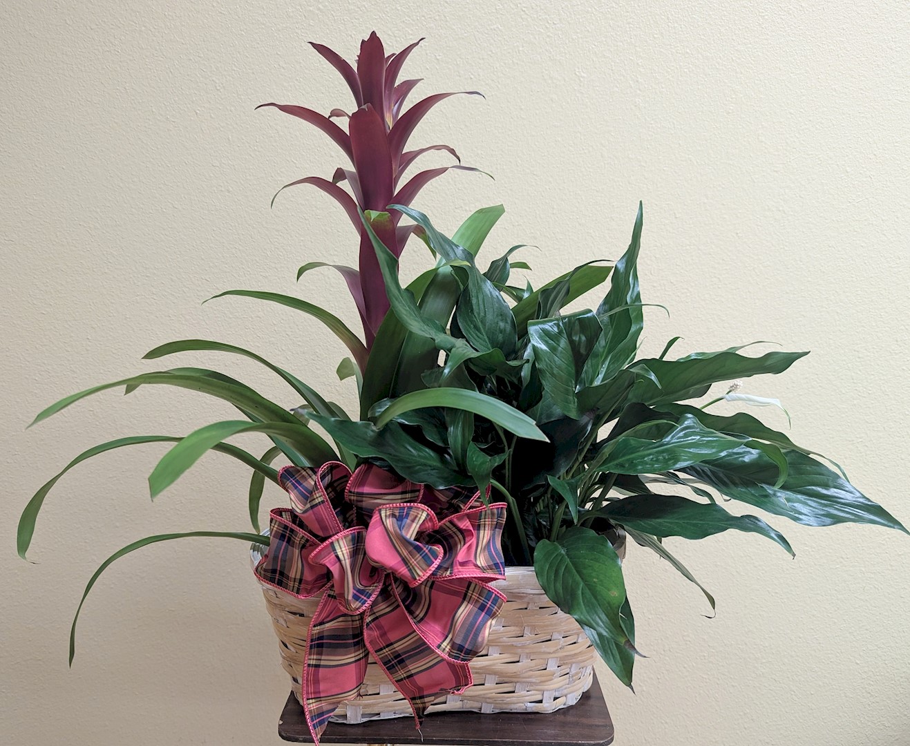 Flowers from South Dakota Lions Foundation