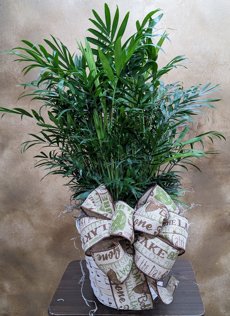 Flowers from Dakota Country Pharmacy
