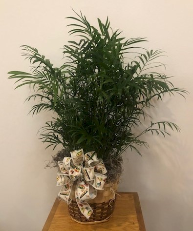 Flowers from Kent and Eileen Jordan and the staff of Wall Food Center