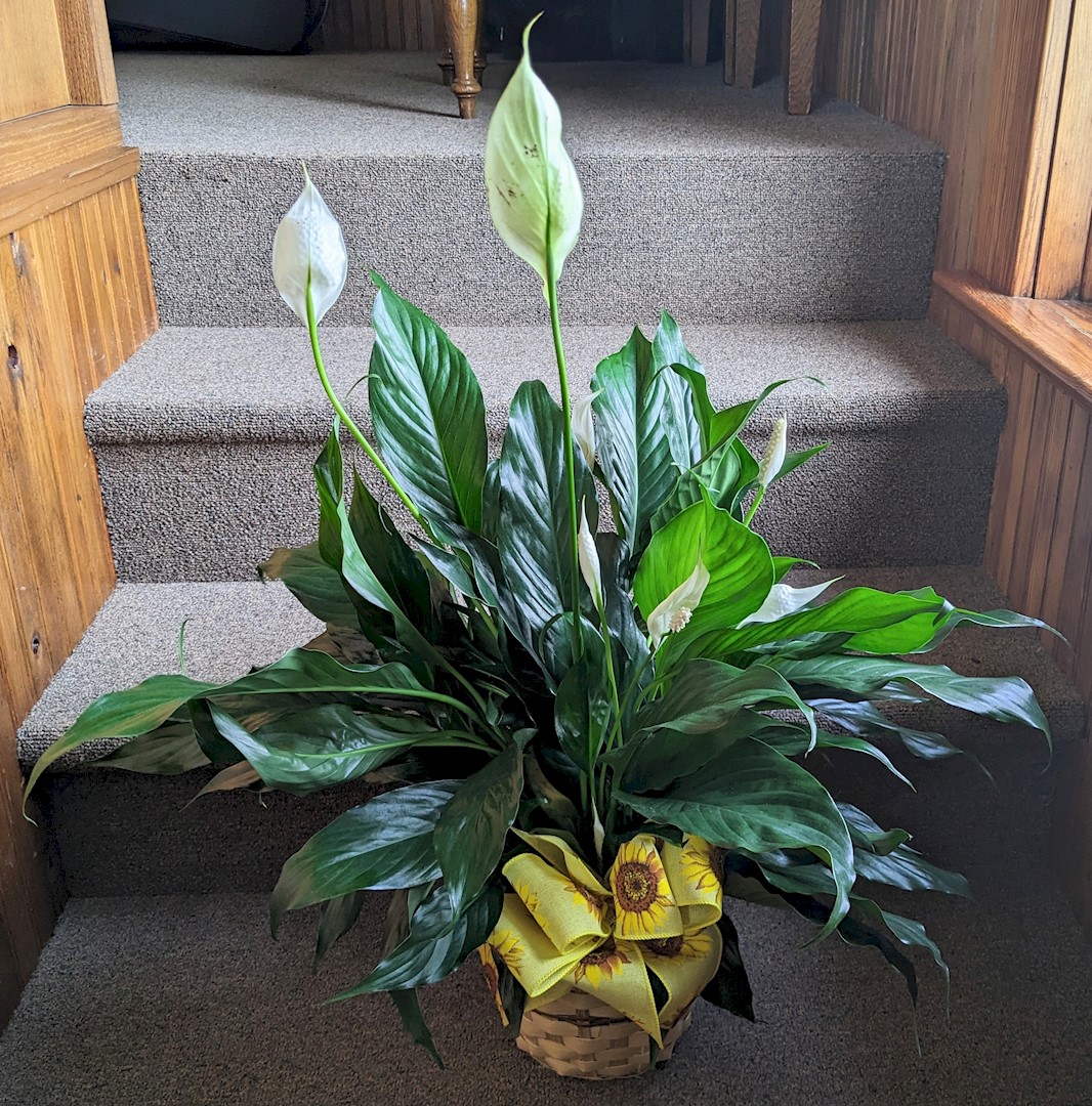 Flowers from Grant and JoDee; Garrett and Hope; and Chelsie and Travis
