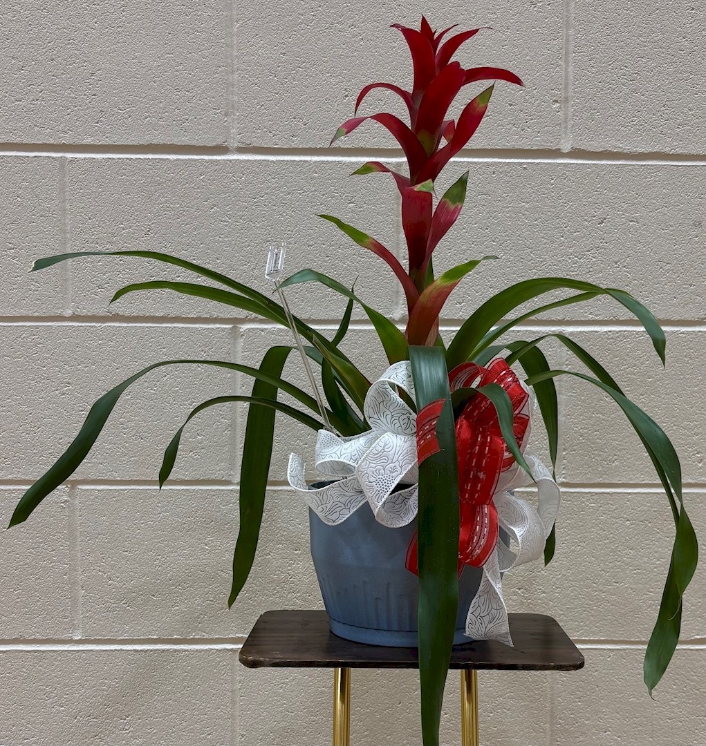 Flowers from Dakota Country Pharmacy