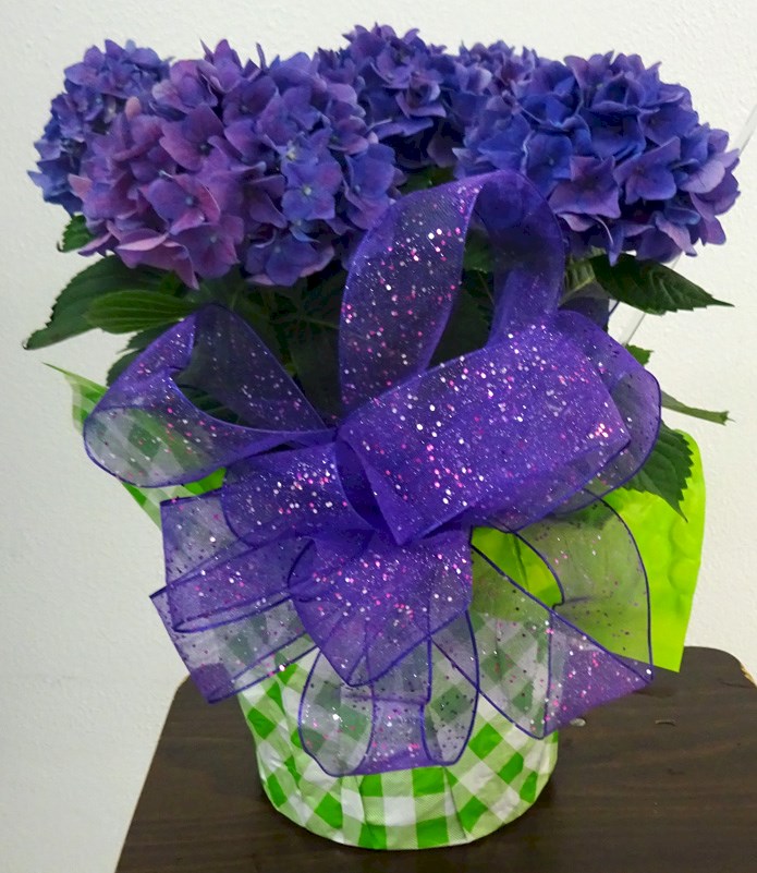 Flowers from Dakota Country Pharmacy