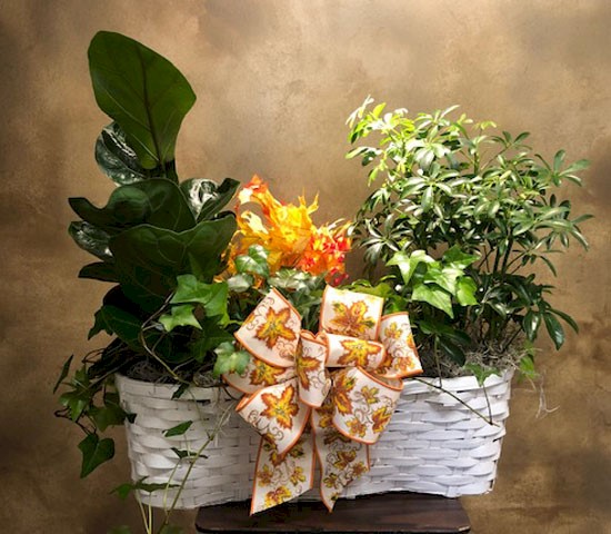 Flowers from Quinn Family