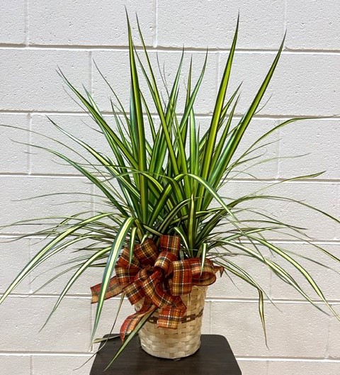 Flowers from Your Movie Buddies: Sue, Susie and Scott, and Betty and Darwin