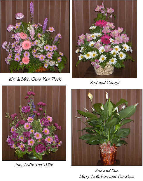 Flowers from 