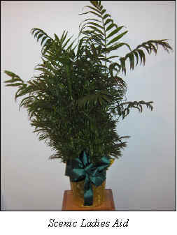 Flowers from 