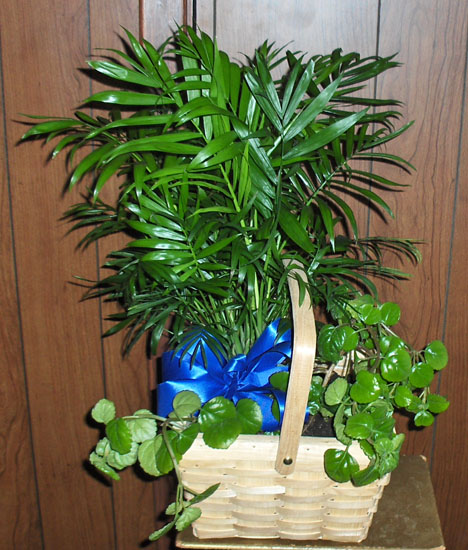 Flowers from Dan & Theresa Walker, Bob & Shandon Fugate