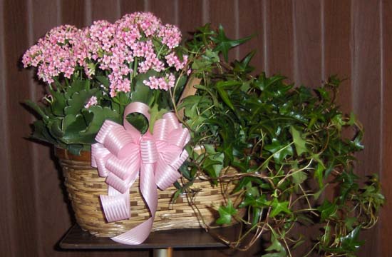 Flowers from Karen and Patti