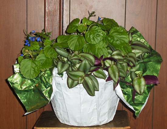 Flowers from Jim & Debbie Antonsen and Family