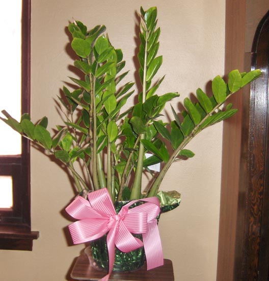Flowers from Civil Air Patrol