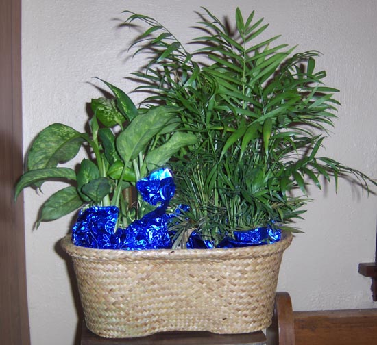 Flowers from Premier Bank Card