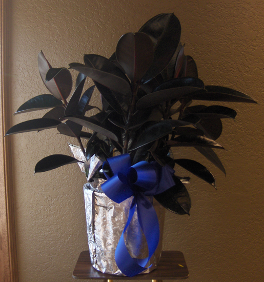 Flowers from Warren & Sue, Kyle & Amy, Kurt & Danielle