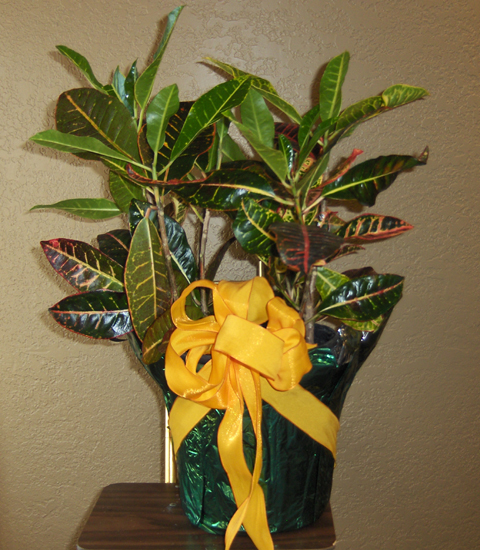 Flowers from Friends at Sunshine Bible Academy