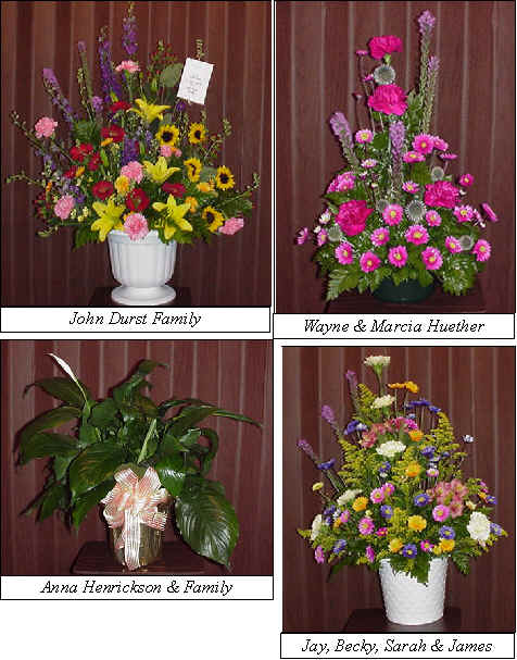 Flowers from 