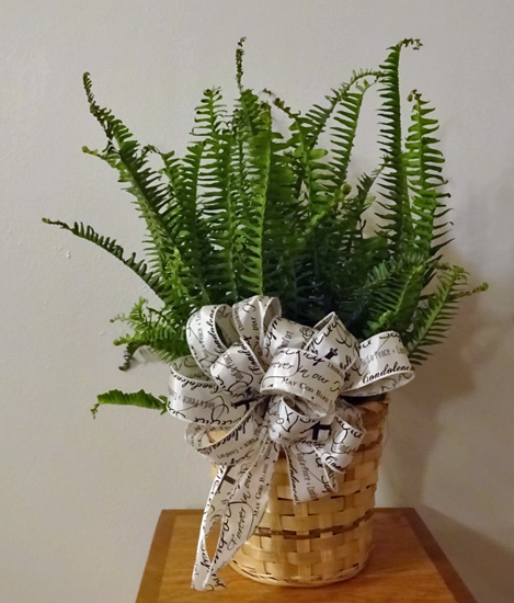 Flowers from Class of 1961 - Wall High School