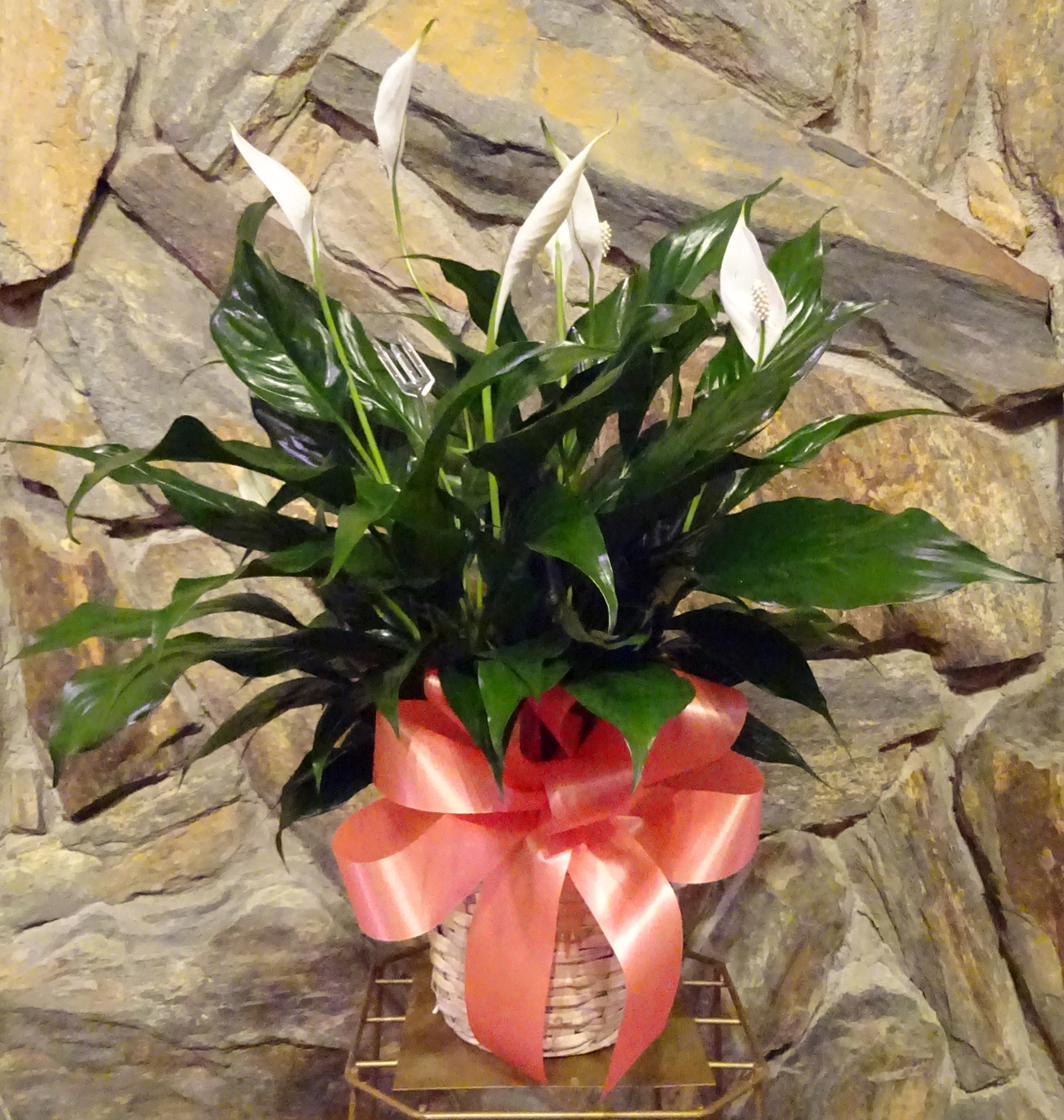 Flowers from Dakota Country Pharmacy