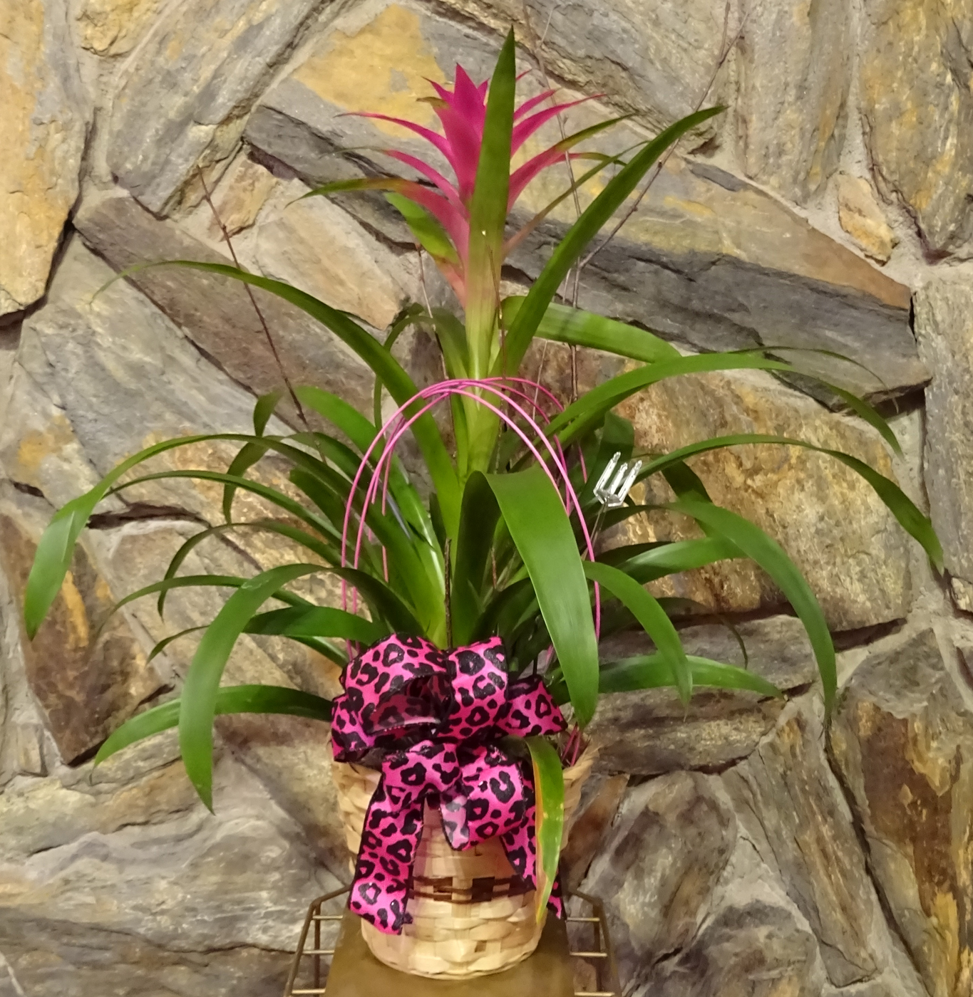 Flowers from Tim, Carrie, and Tejai Sanftner