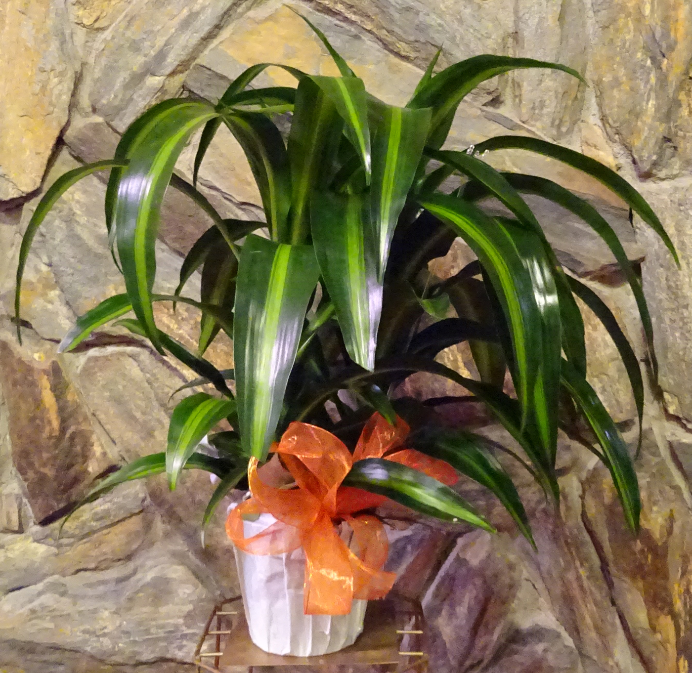 Flowers from Jim and Debbie Antonsen and Families