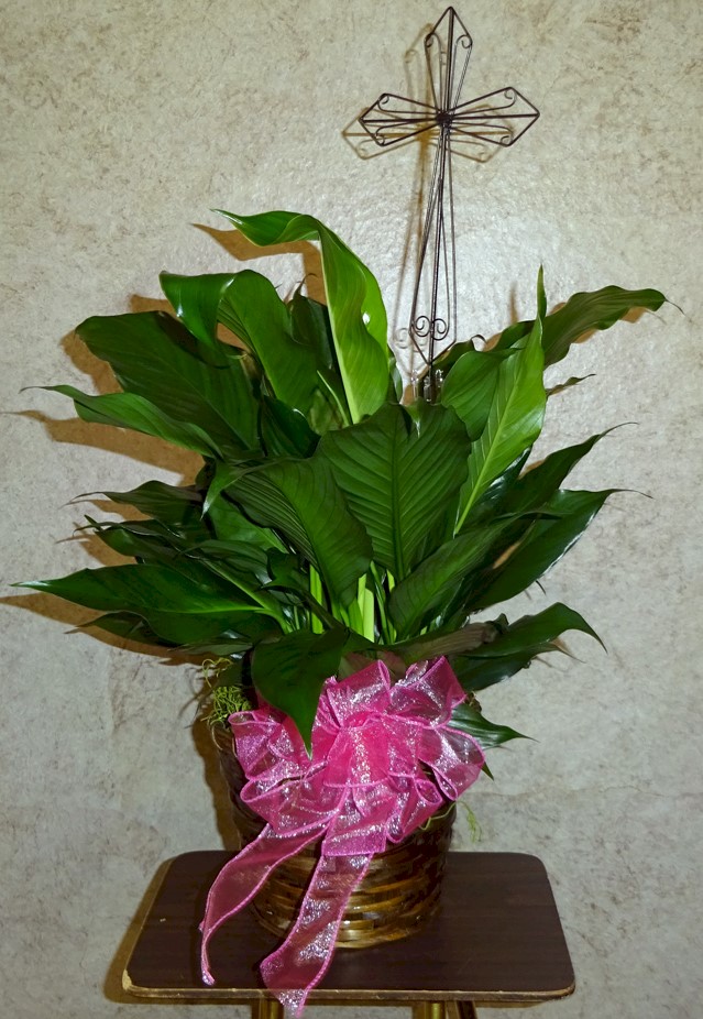 Flowers from Deb, Tara, Willie, Carol, and Tonjua