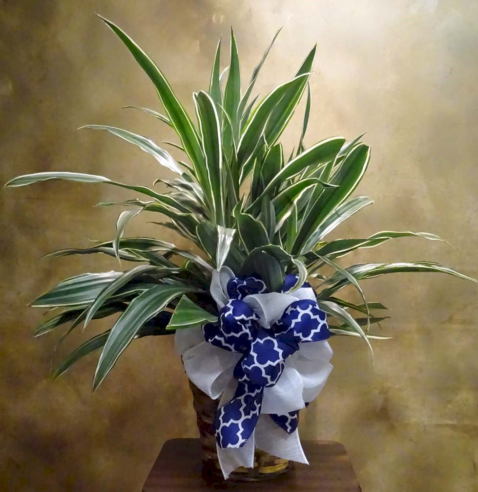 Flowers from North West Pipe of Rapid City