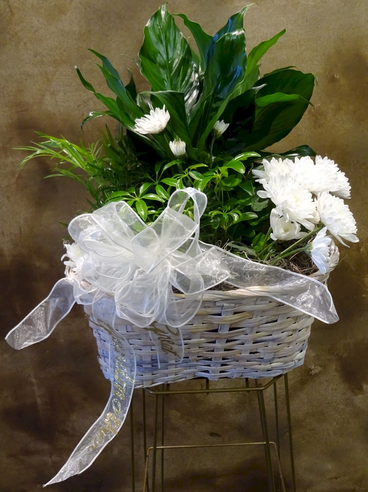 Flowers from "Great-Grandmother"