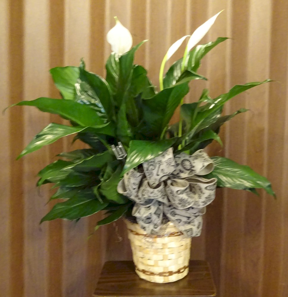 Flowers from Kent, Darlene and Girls