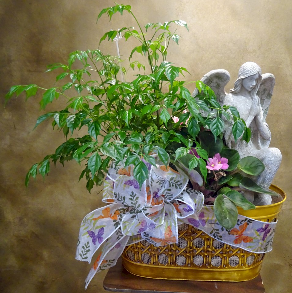 Flowers from Chaney and Family