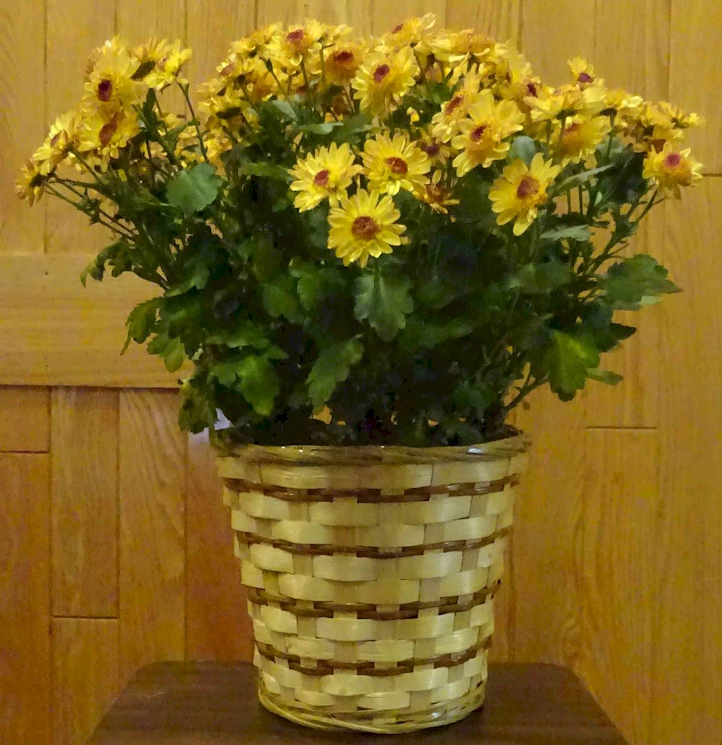 Flowers from Cory, Micki, Carter, Maddix & Tate Slykhuis