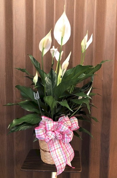 Flowers from Ken, Karen, and Keira Burke