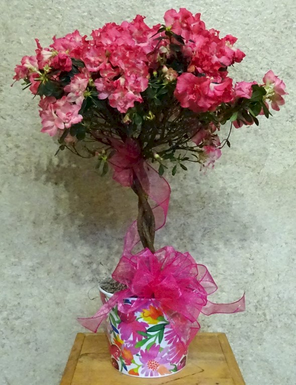 Flowers from Tom Clark