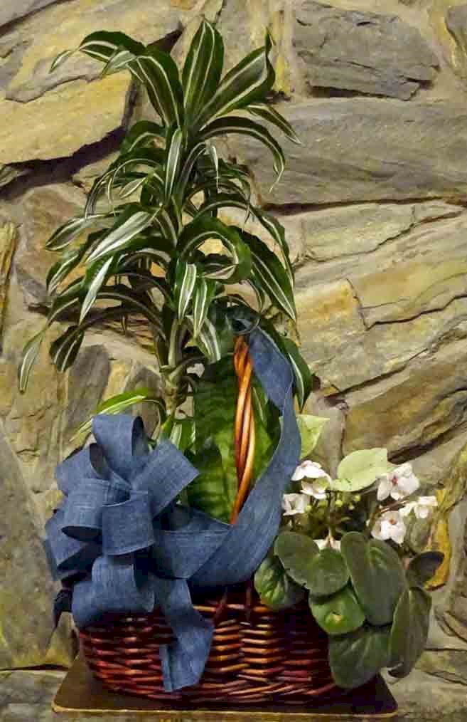 Flowers from Phil and Joann Stark