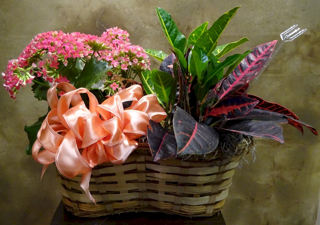 Flowers from Casey Peterson LTD