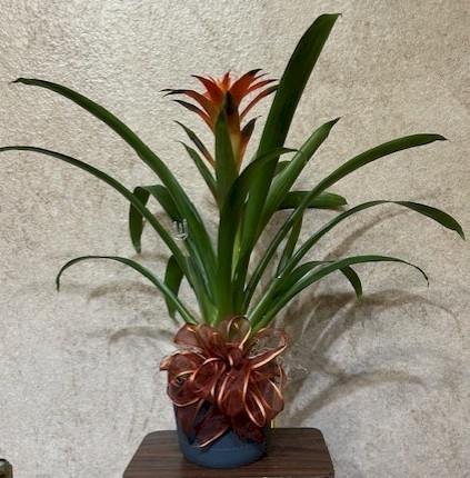 Flowers from KNH Staff, Residents, and Board of Directors