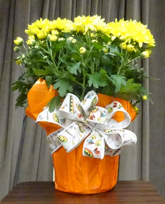 Flowers from Dakota Country Pharmacy