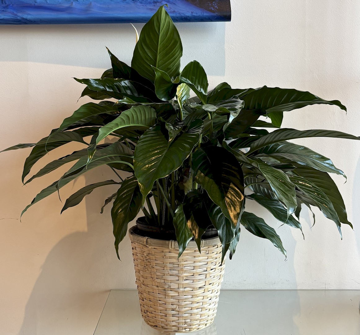 Flowers from Jake, Taylor, Everett, and Abby