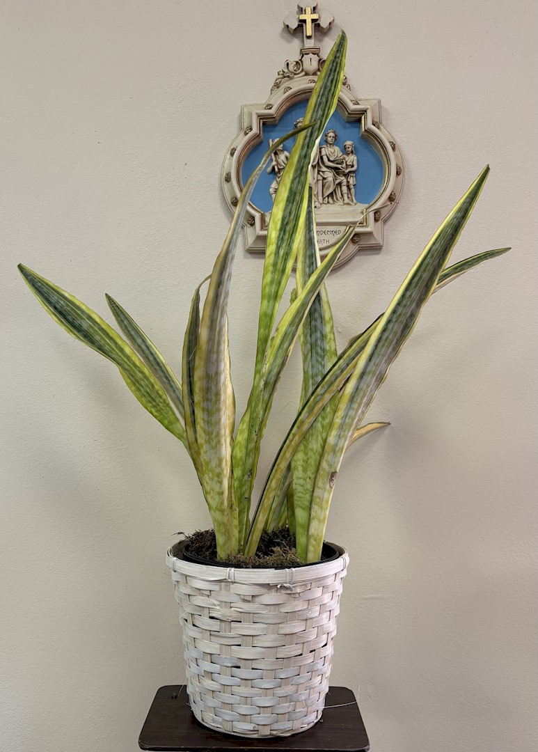 Flowers from Wayne and DeeAnn Barber and Family