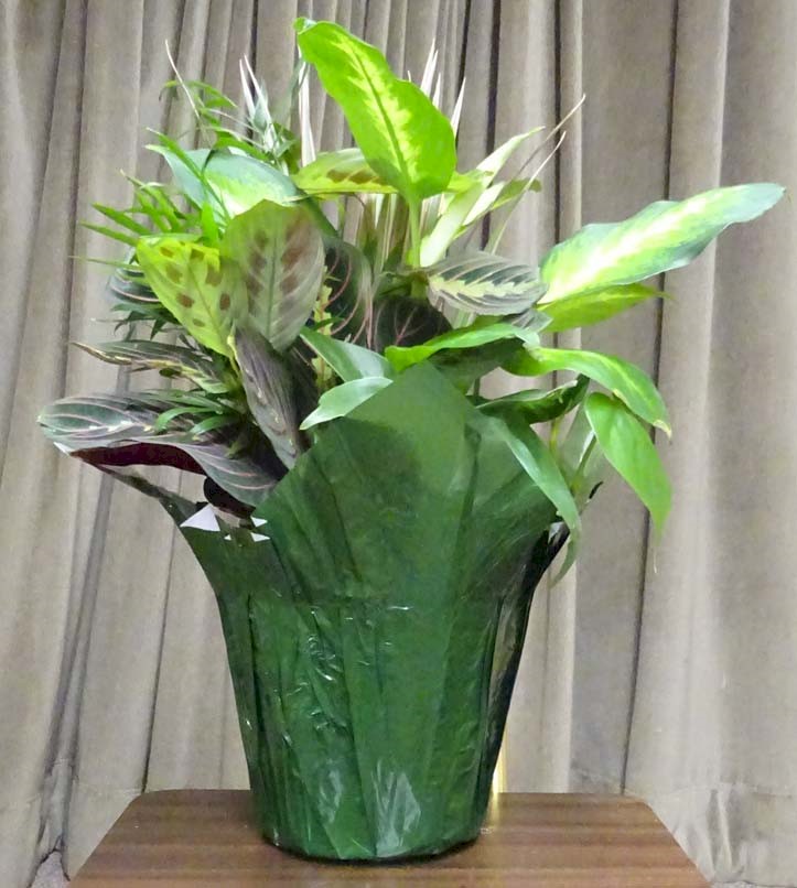 Flowers from Jim and Cheryl Vanderheiden
