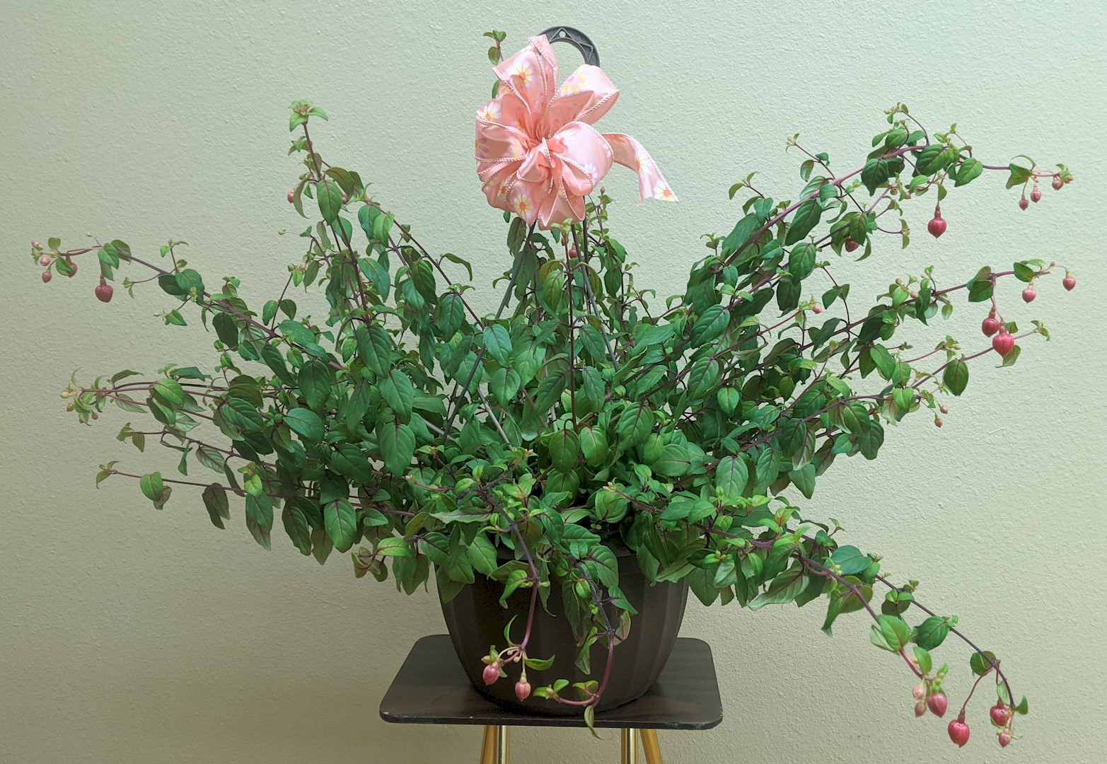 Flowers from 96 Ranch - Leo, Ruby, Gary, and Sharon